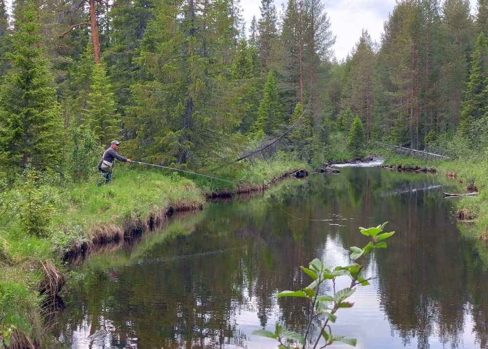 Lyckat havsöringfiske, Öland