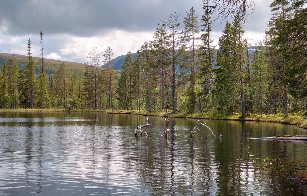 Flugfiske Sörälven, Idre