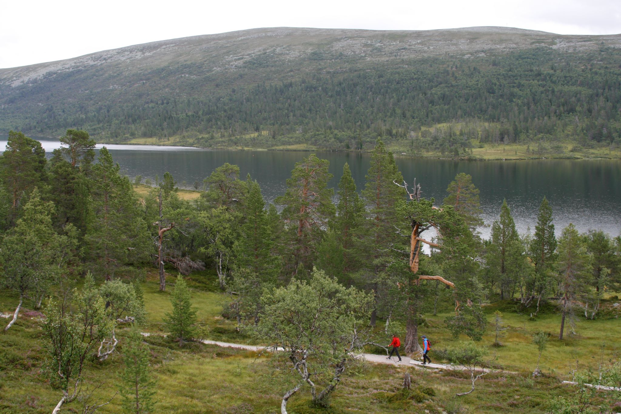 Grövelsjön norra Dalarna