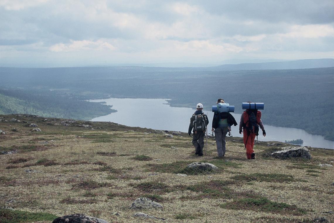 Fjällutsikt och vandrare